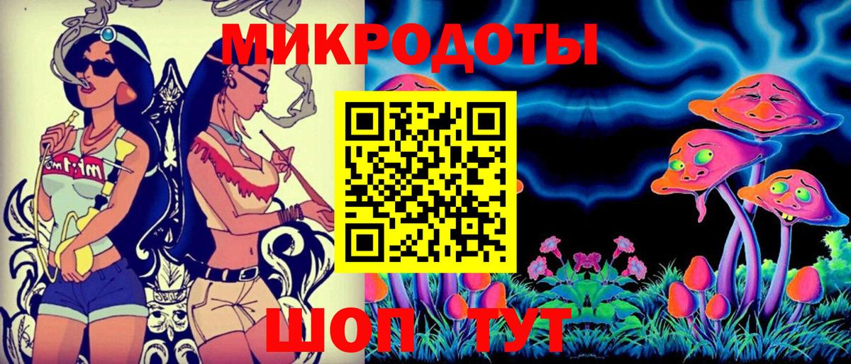 Камень-на-Оби  Псилоцибиновые грибы Psilocybe  Вход с VPN  Галлюциногенные грибы мухоморы 