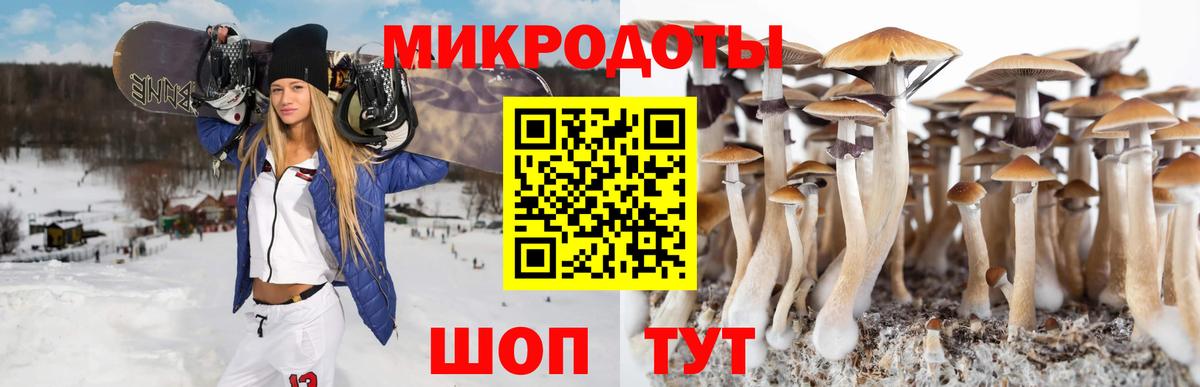 Псилоцибиновые грибы Magic Shrooms Камень-на-Оби